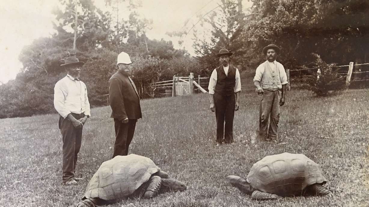 This picture was taken soon after Jonathan arrived on the island, by which time he was at least 50.