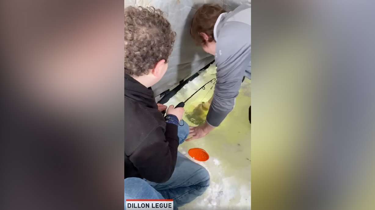 It was just another day on the ice until this kid pulled in a massive catfish, and his reaction is pure gold.