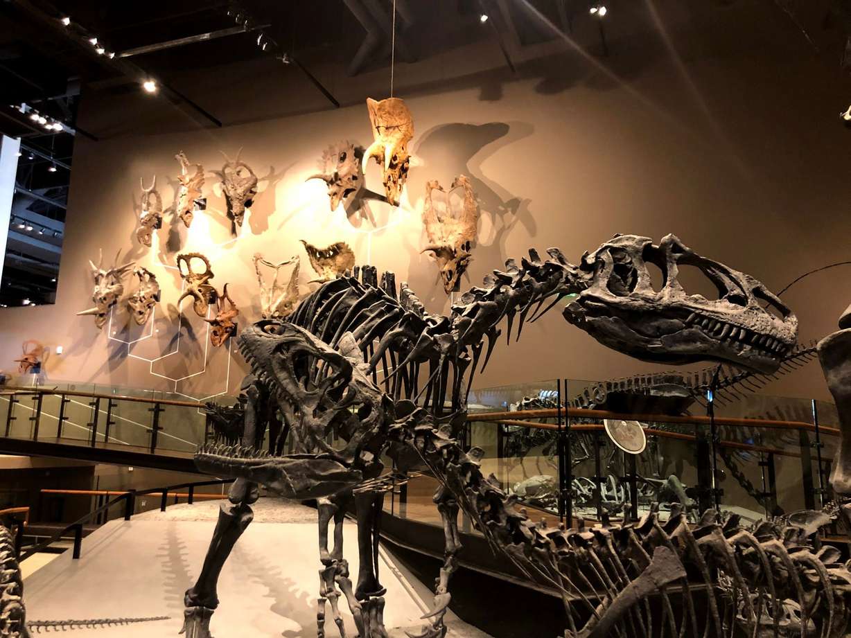 8+ fascinating Utah indoor venues where you can spend a wintry day