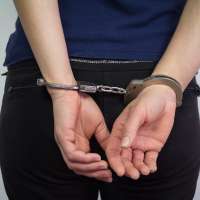 Dogs, geese found in Kearns home; woman arrested