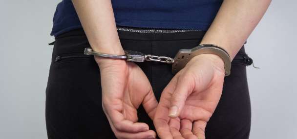 Dogs, geese found in Kearns home; woman arrested
