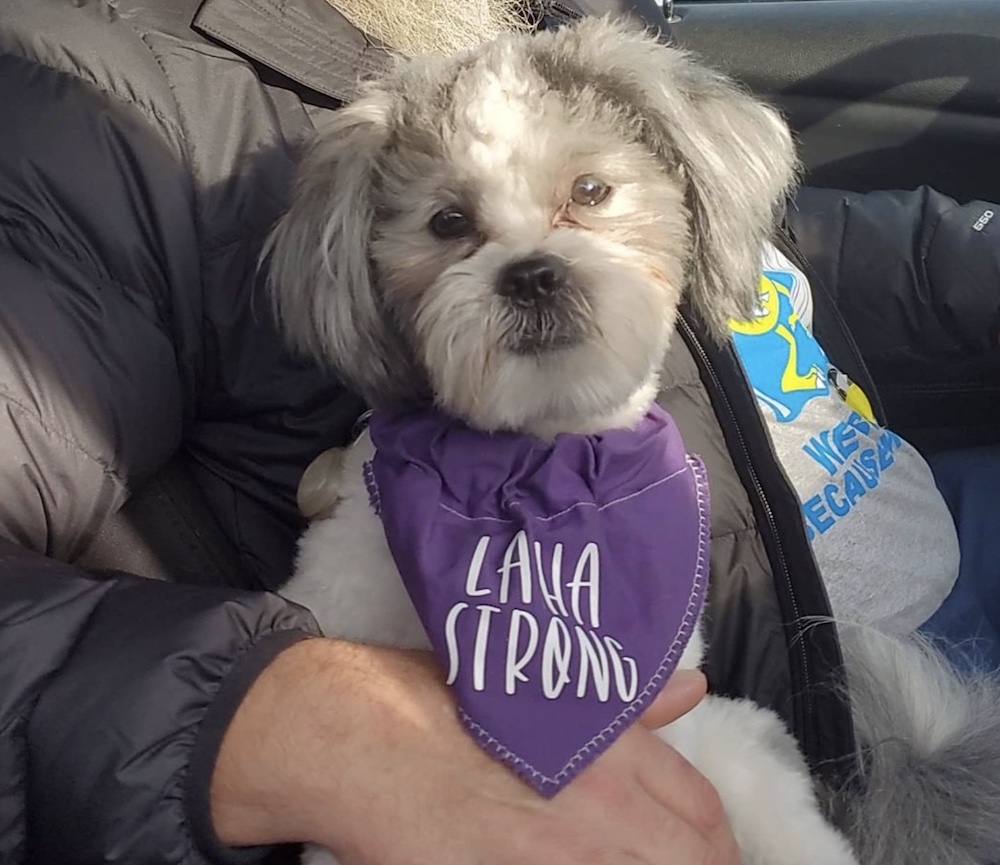 Laiha Slayton was happy to be united with her dog Chevy.