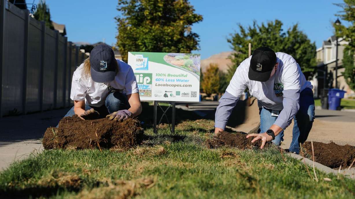 Candice Hasenyager, director of the Utah Division of Water Resources, left, and Brian Steed, executive director of the
Department of Natural Resources, remove sod from a parking strip in Herriman on Sept. 21, 2021, during the launch of "Flip Blitz,” a landscape diversification and water conservation program.