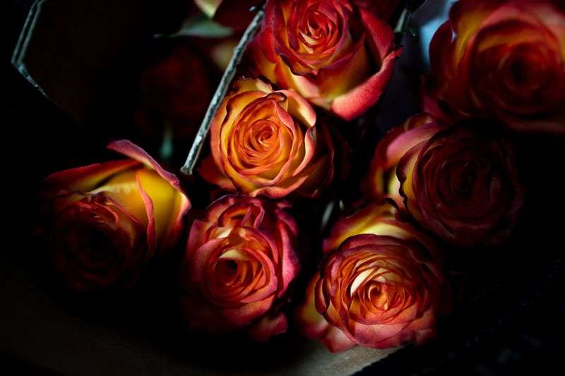Roses are pictured in the refrigerator at Brown Floral
in Holladay on Tuesday.