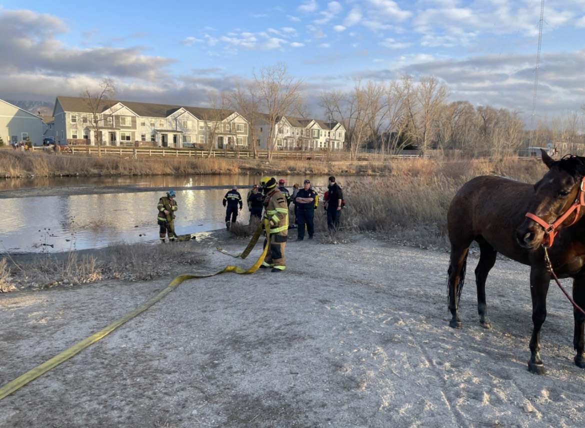 Fire crews from the Murray City Fire Department and Unified Fire Authority work together to rescue a horse from Jordan River near 700 West and 4800 South in Murray on Tuesday. The animal got stuck in the muddy riverbed when its rider attempted to cross the river with the animal.