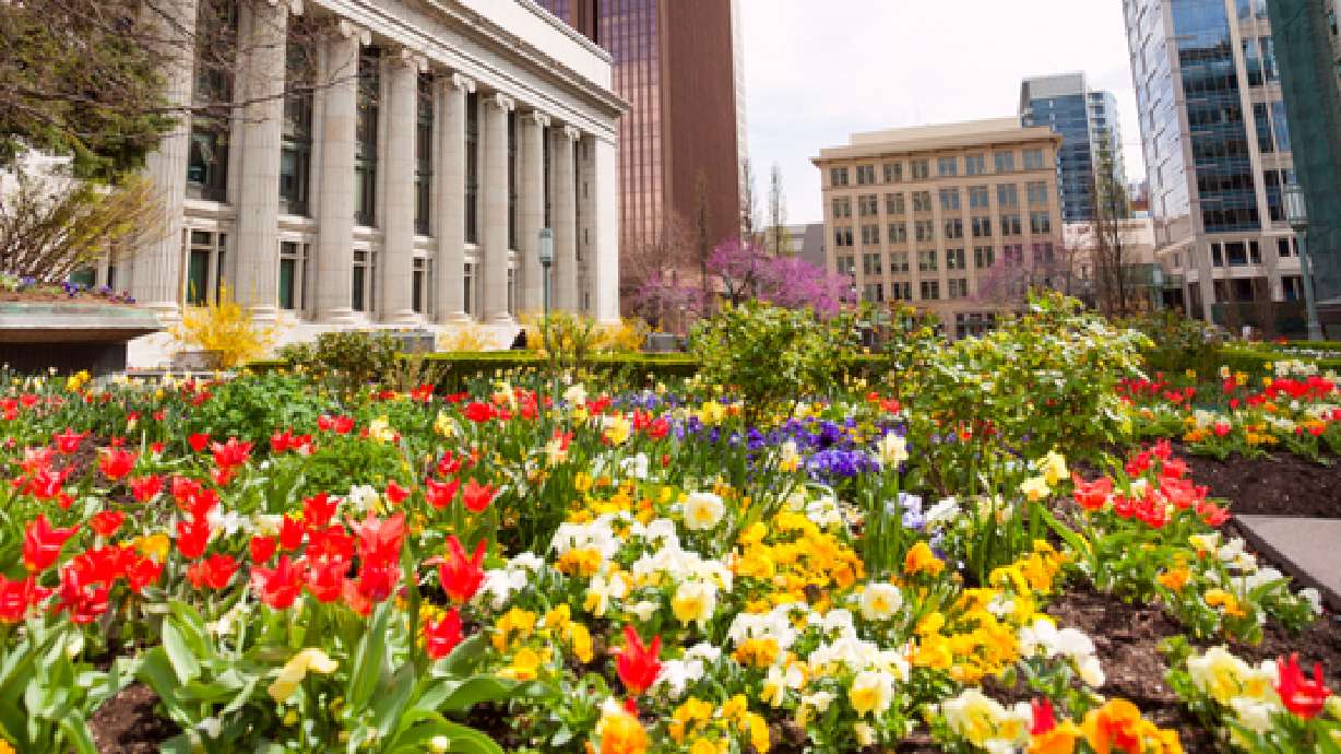 QUIZ: Can you identify these springtime sites in Utah?