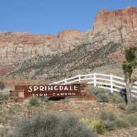 'Our valuable residents are being displaced': Springdale halts new transient lodging applications
