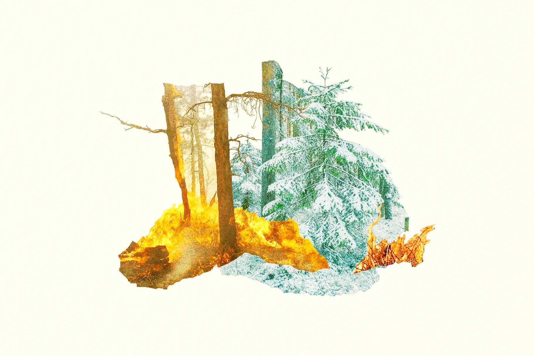 It might feel cold today, but the trend for winter in the West is warmer