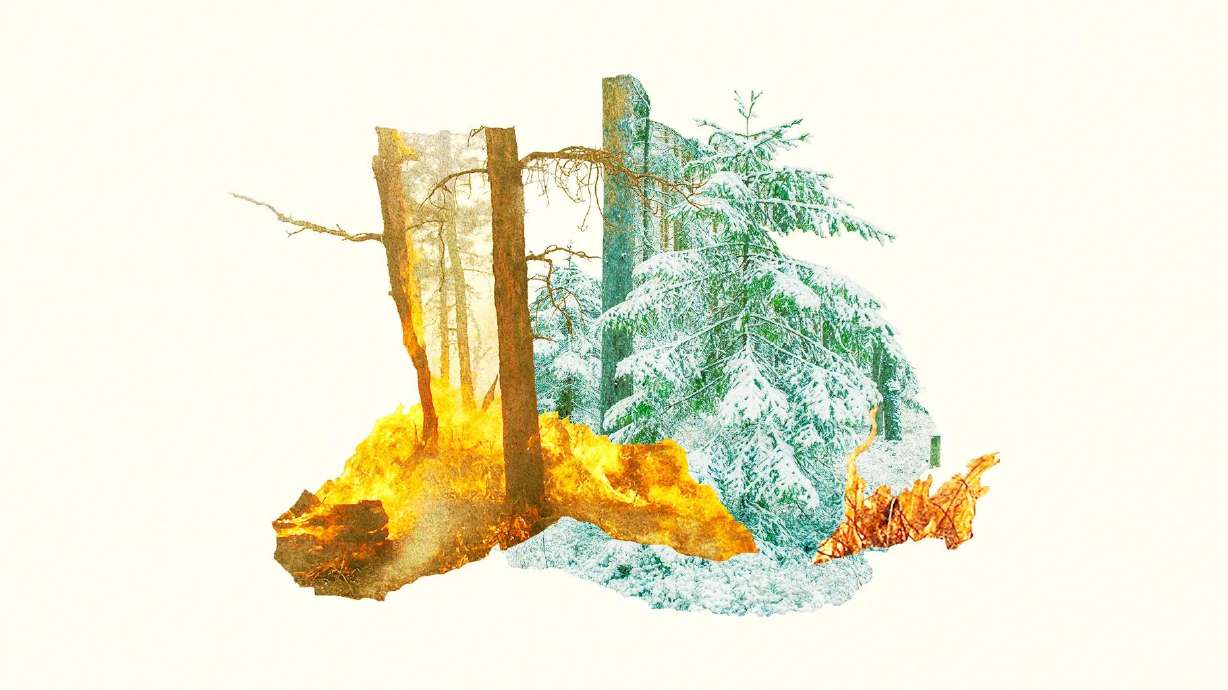 It might feel cold today, but the trend for winter in the West is warmer