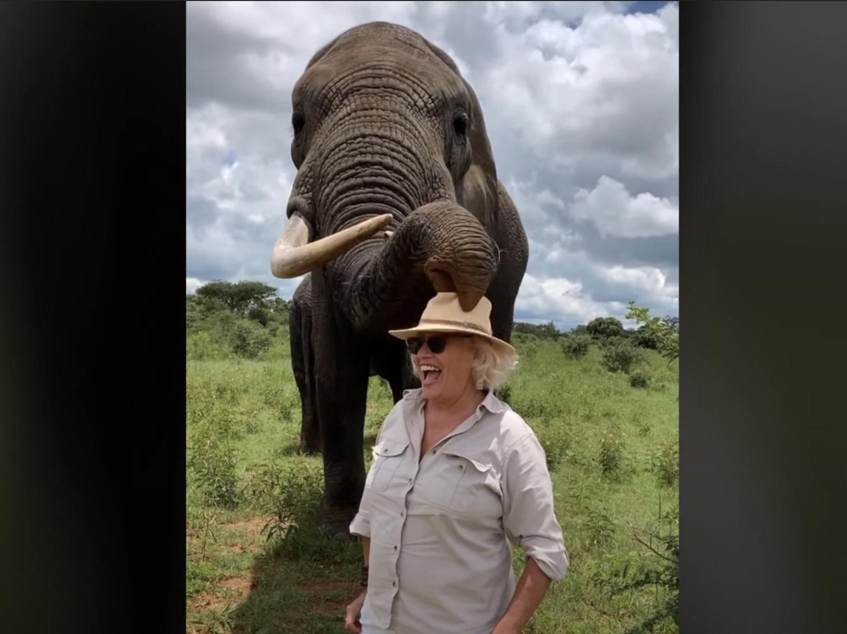 Woman attempts to get a photograph with Mac, the elephant, at a Safari Park in Zimbabwe. See what happens next in this video posted on YouTube in February 2021.