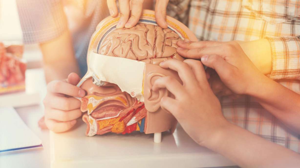 Entering menopause before age 40 is linked to a 35% higher risk of developing dementia later in life, a preliminary study finds.