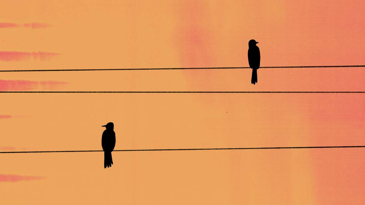 Dating apps for older singles: What's it like to date in old age?