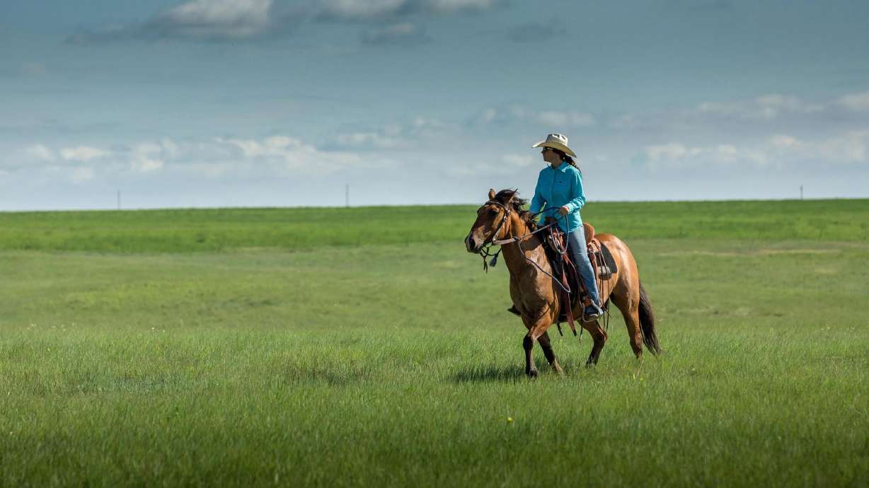Three years ago, Kelsey Scott founded DX Beef to bring quality food back to her community.