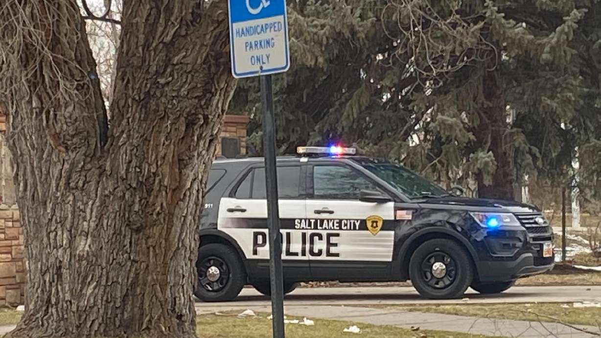 A military grade device was removed from the International Peace Gardens in Jordan Park by police on Sunday.