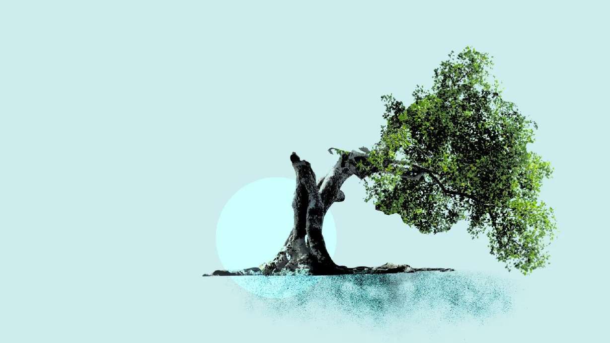 The history of lynching is more heartbreaking than you think