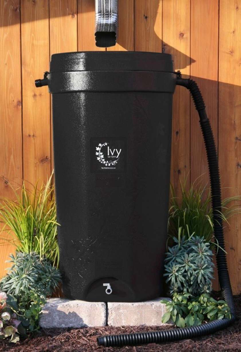 A 50-gallon Ivy rain barrel used to recycle runoff rainwater for watering lawns and gardens. Some Utah residents can purchase discounted barrels through April 24.