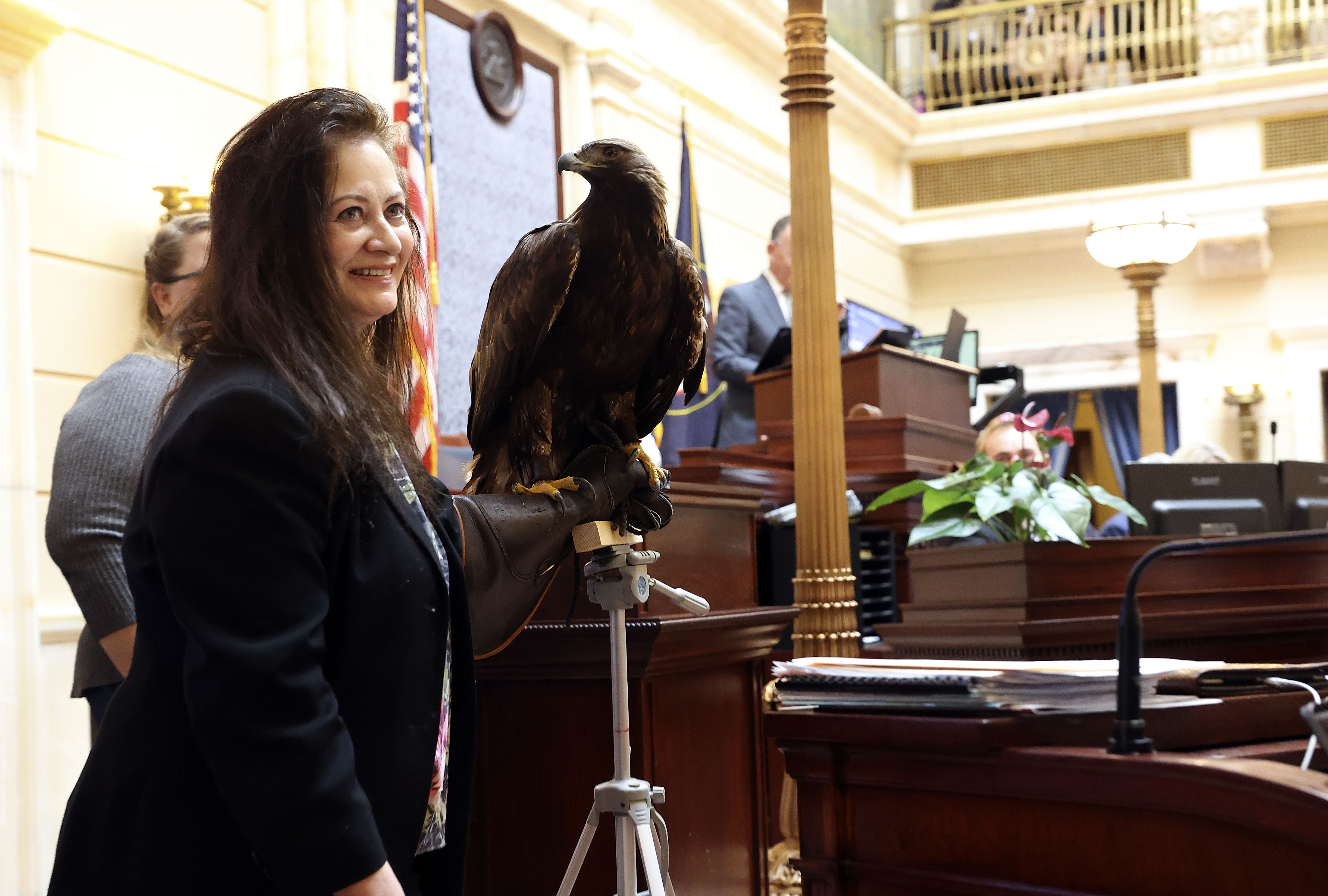 HawkWatch International's Debbie Petersen brings a live golden eagle named Chrys to the Senate floor at the Capitol in Salt Lake City on Feb. 10. Chrys is named after Aquila Chrysaetos. the scientific name for golden eagles. Gov. Spencer Cox signed a bill Wednesday that made the golden eagle Utah's official bird of prey.