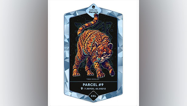 A non-fungible token of an illustration of a Brazilian tree ocelot by Los Angeles-based graphic artist Ben Kwok, that has been released to Reuters on Saturday, is being offered by Brazilian company Nemus as a new way to fund conservation in the Amazon rainforest, in Brasilia.