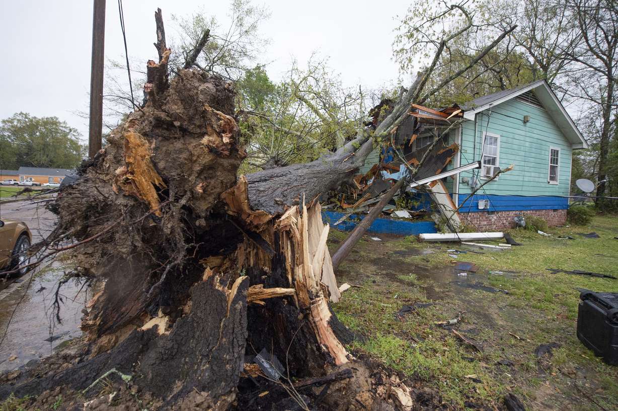 A house on Summer Street, just north of Winter Street, in Jackson, Miss., was heavily damaged by a downed tree during severe weather that moved through the city Wednesday.