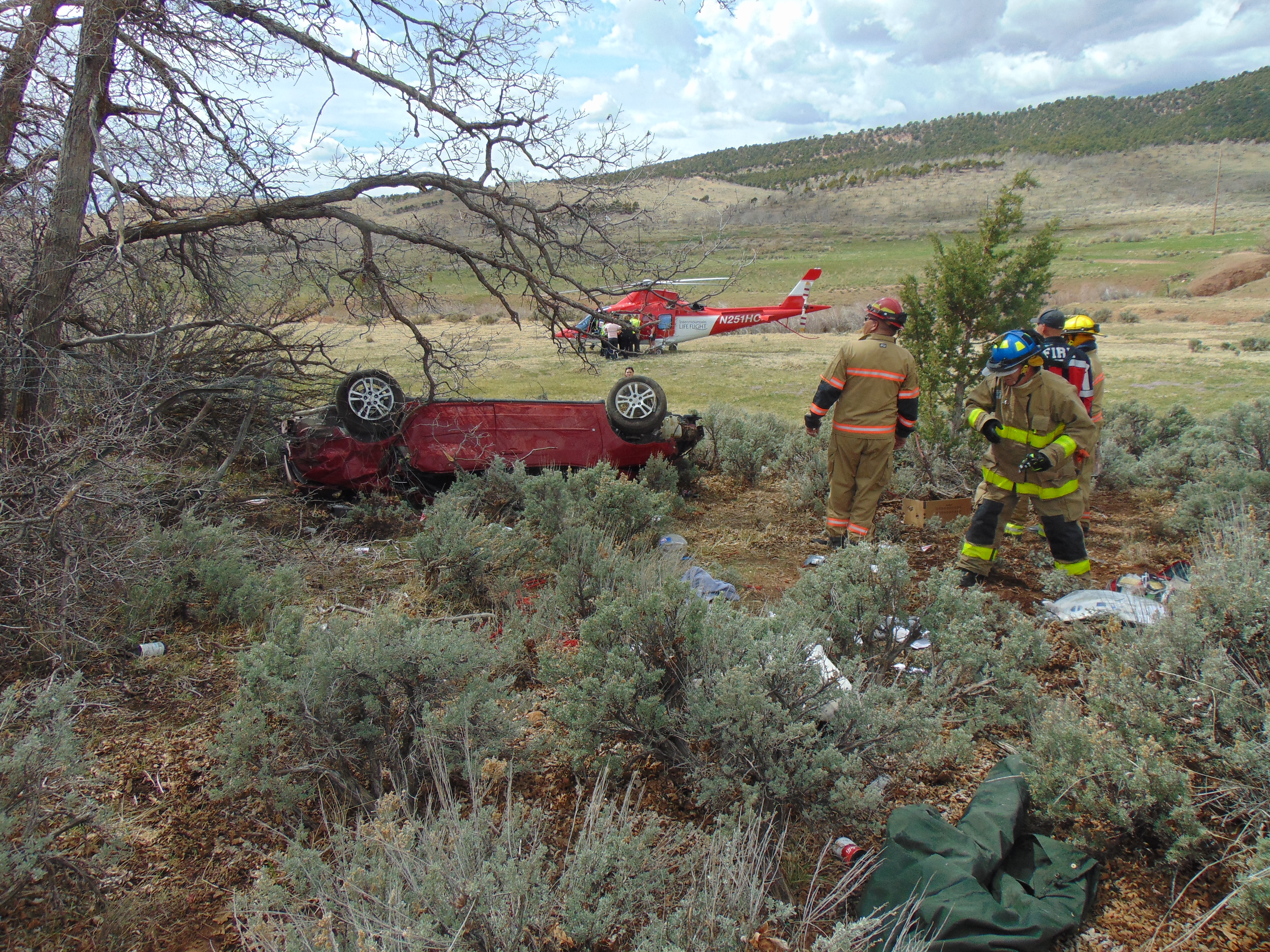 A man trying to flee from police in southern Utah in a stolen vehicle was taken into custody after losing control of the car and rolling, resulting in the death of car owner's dog.