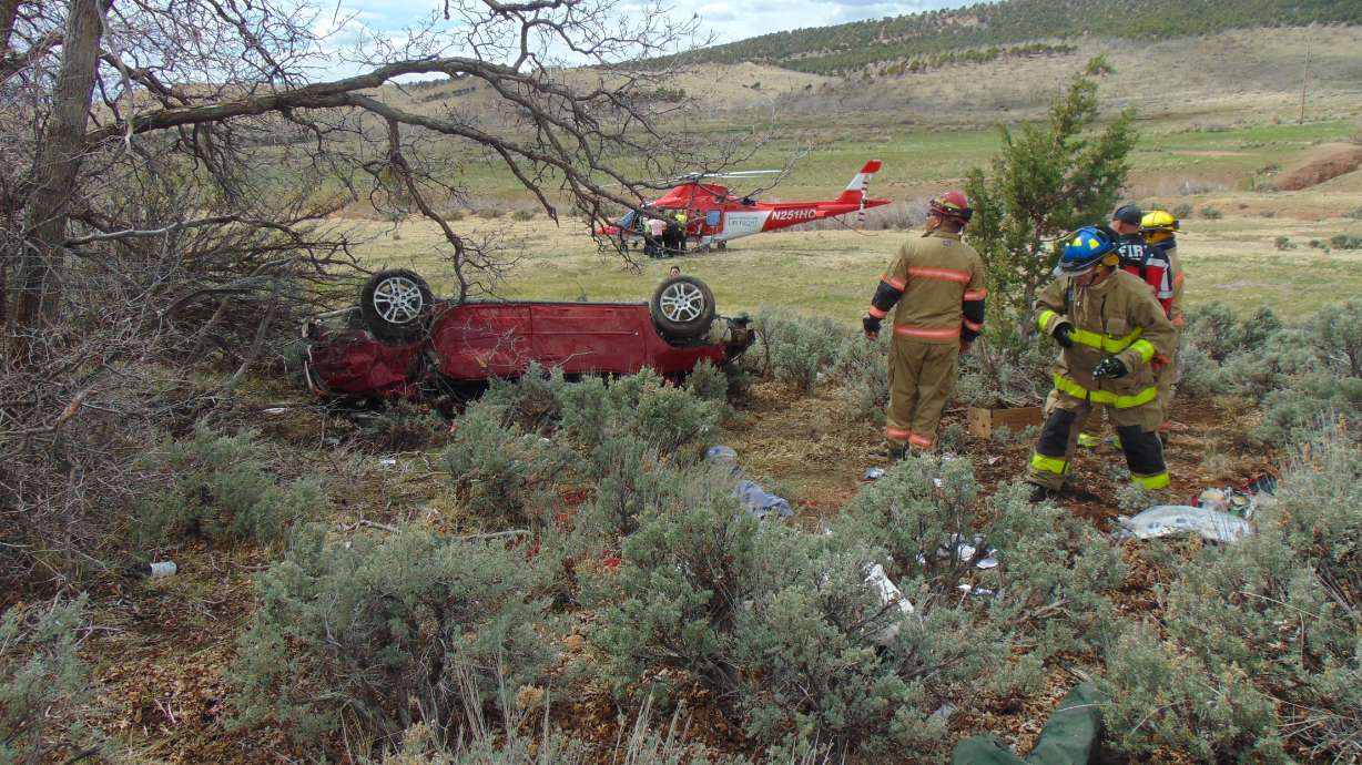 A man trying to flee from police in southern Utah in a stolen vehicle was taken into custody after losing control of the car and rolling, resulting in the death of car owner's dog.