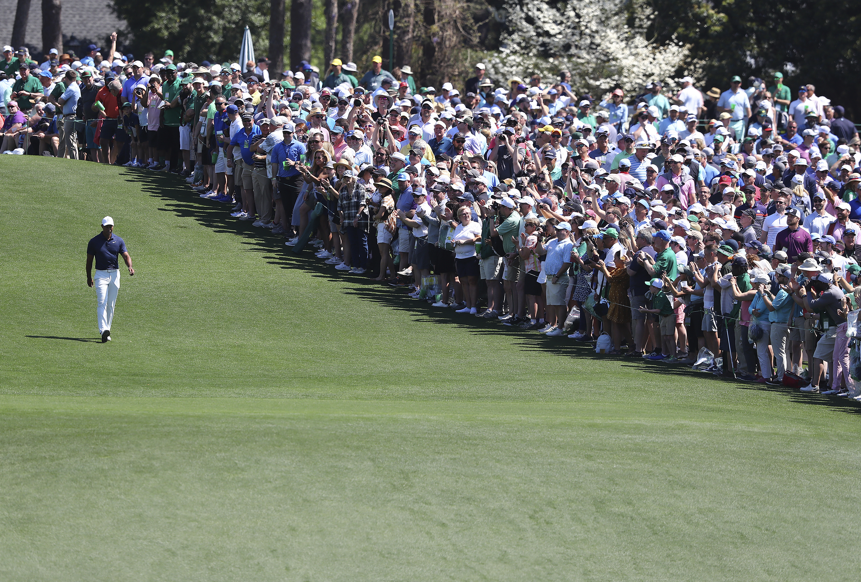 The giant gallery of patrons following five-time Masters champion Tiger Woods applaude as he walks down the first fairway after teeing off to begin his practice round for the Masters at Augusta National Golf Club in Augusta, Ga., Monday, April 4, 2022. 