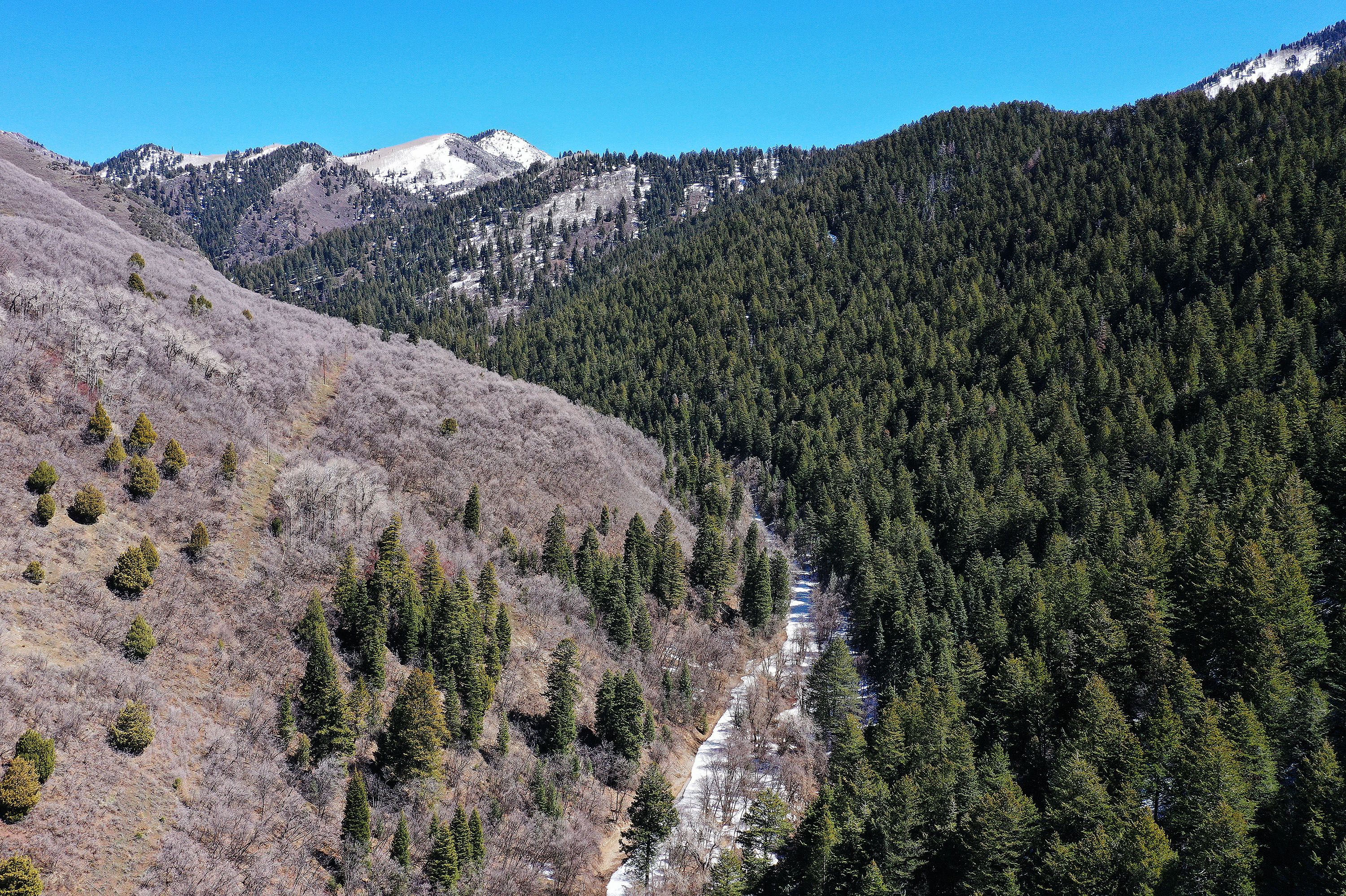 The snowpack in Millcreek Canyon is pictured on Wednesday. University of Utah researchers will get $7 million in funding to study snowpack and its relationship to the water supply.