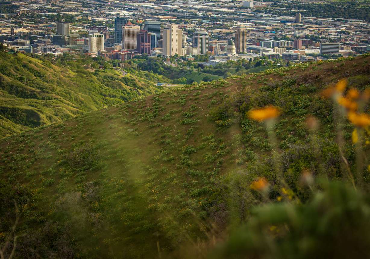 Salt Lake City in the distance from a trail near the top of City Creek Canyon on May 27, 2019.