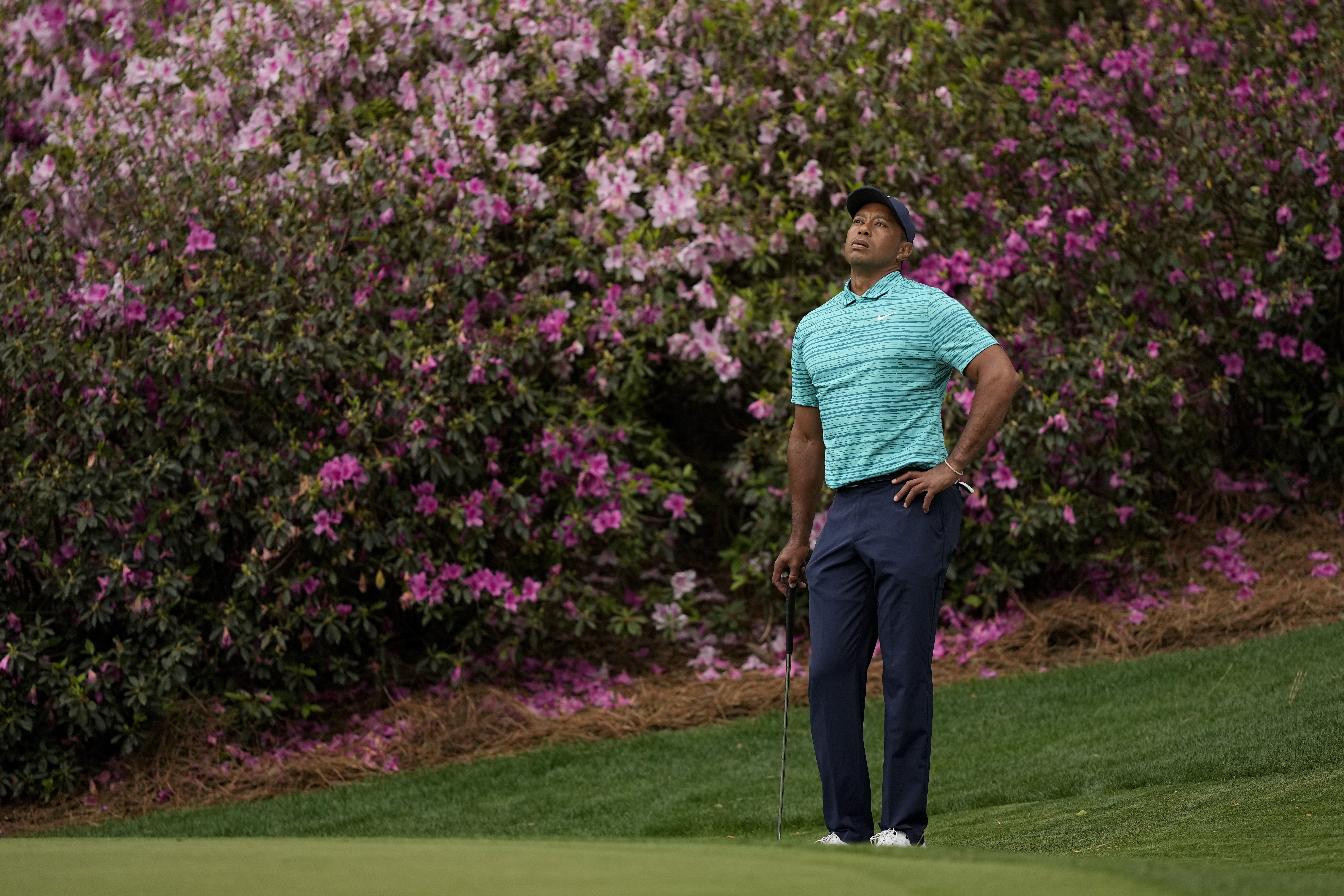 Tiger Woods waits to putt on the 13th green during the second round at the Masters golf tournament on Friday, April 8, 2022, in Augusta, Ga. 