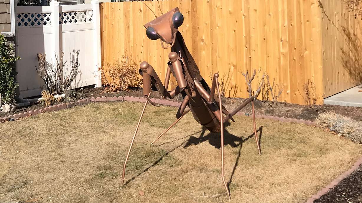 A praying mantis sculpture outisde of a home on 2700 South in Sugar House in Feb. 2021. It was the first post on SLSees, a collection of unusual sightings in Salt Lake City and Salt Lake County.