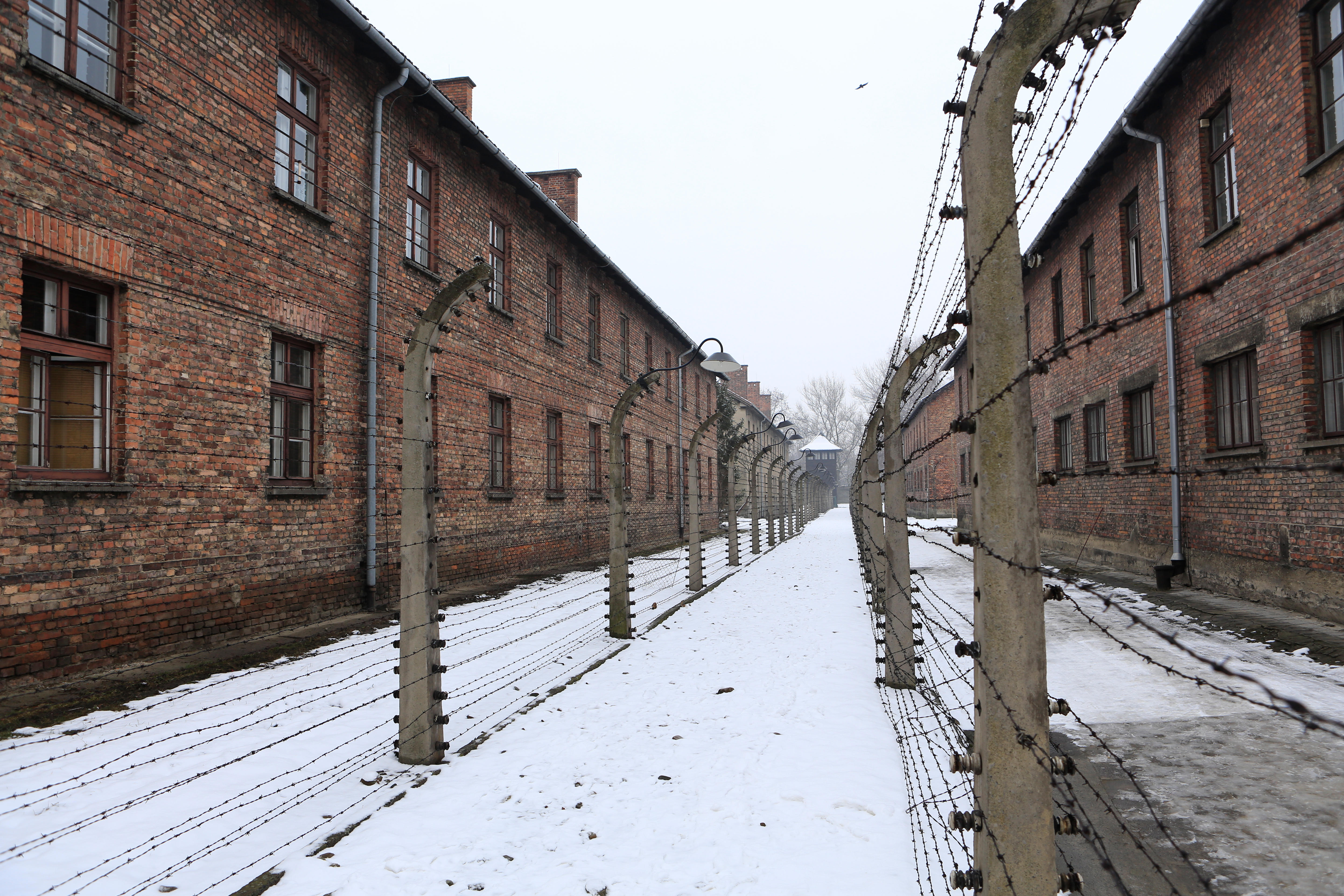 Residential barracks at the Auschwitz-Birkenau Memorial to the Nazi holocaust in Poland are seen in 2014. Mimi Reinhard, who typed up Schindler’s list, has died at 107.
