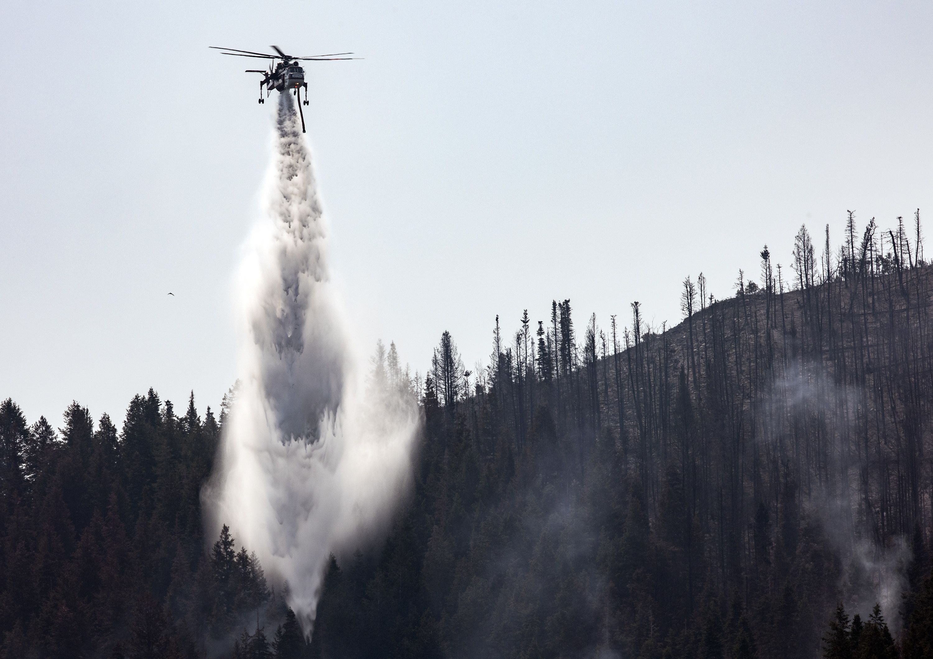 A helicopter drops water on hot spots as crews fight the Parleys Canyon Fire near Park City on Aug. 16, 2021. An extremely dry start to the year means diminishing snowpack, unrelenting drought and increased wildfires in the West.
