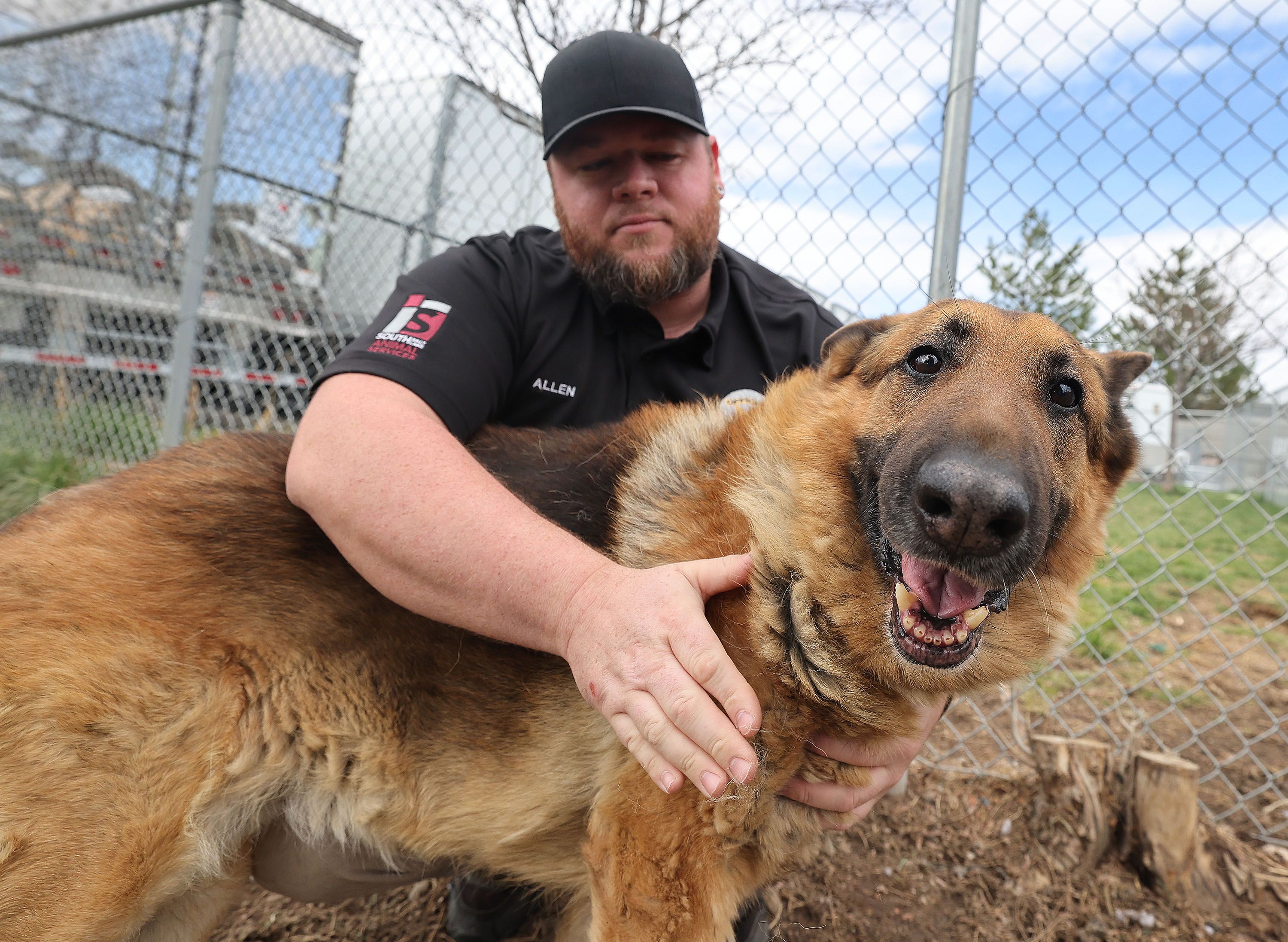 South Salt Lake Animal Services control officer Zach Allen pets a dog at the shelter on Tuesday, April 5. Animal shelters are seeing more pets being dropped off.