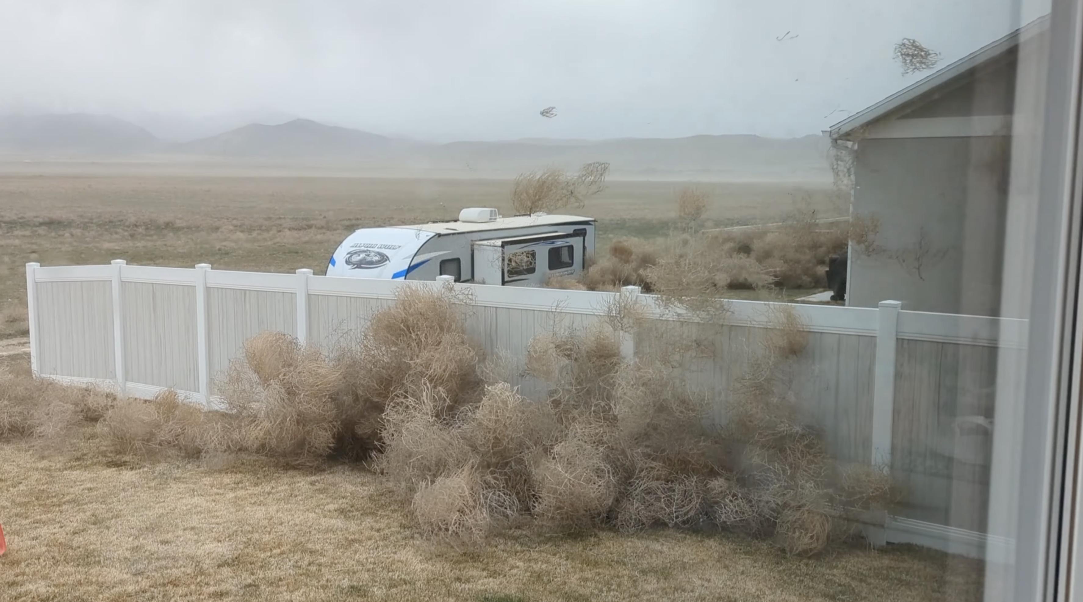 When tumbleweeds started blowing into an Eagle Mountain neighborhood this week, one resident decided to use the opportunity to make an epic video of the invasion.