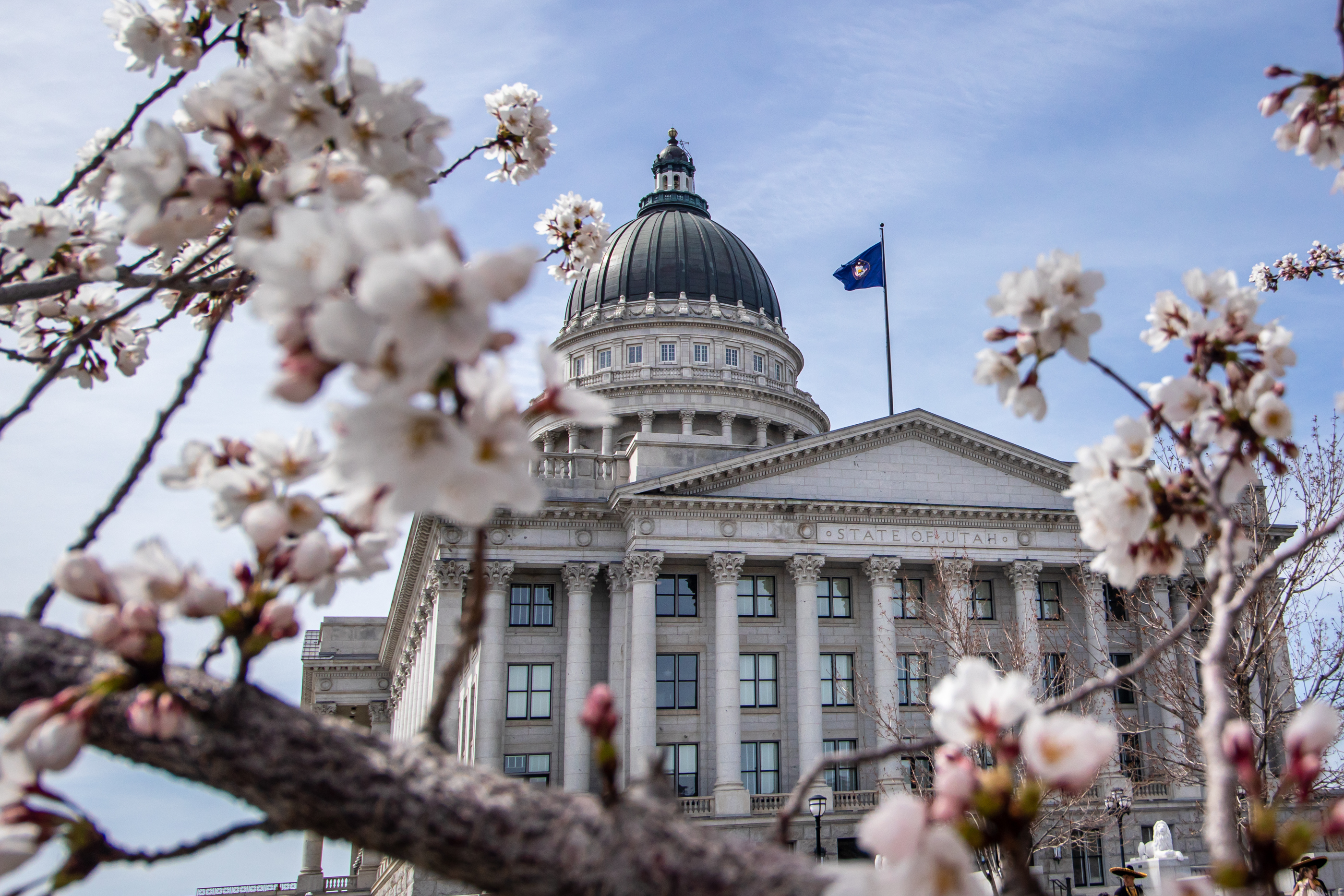 Utah senator 'excited' as state prepares to sift through thousands of new flag designs