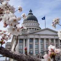Utah senator 'excited' as state prepares to sift through thousands of new flag designs