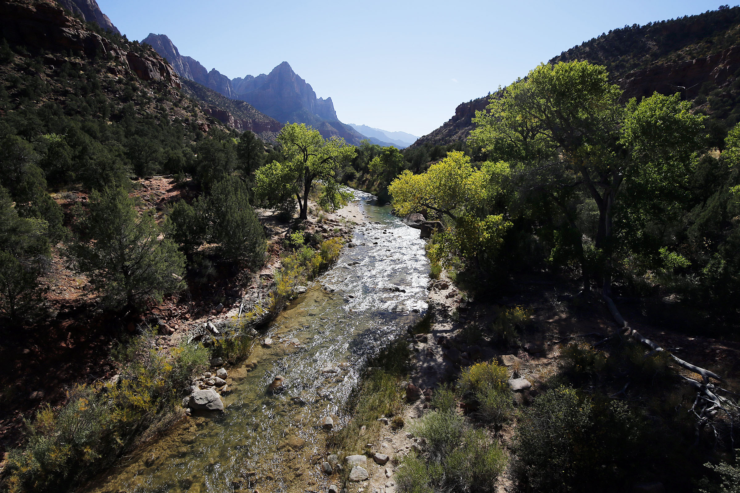 The Virgin River flows through Zion National Park on Oct. 14, 2020. A project to improve the river for fish in the park received more than $3.5 million from the federal government this week, more than double what has already been raised for it.