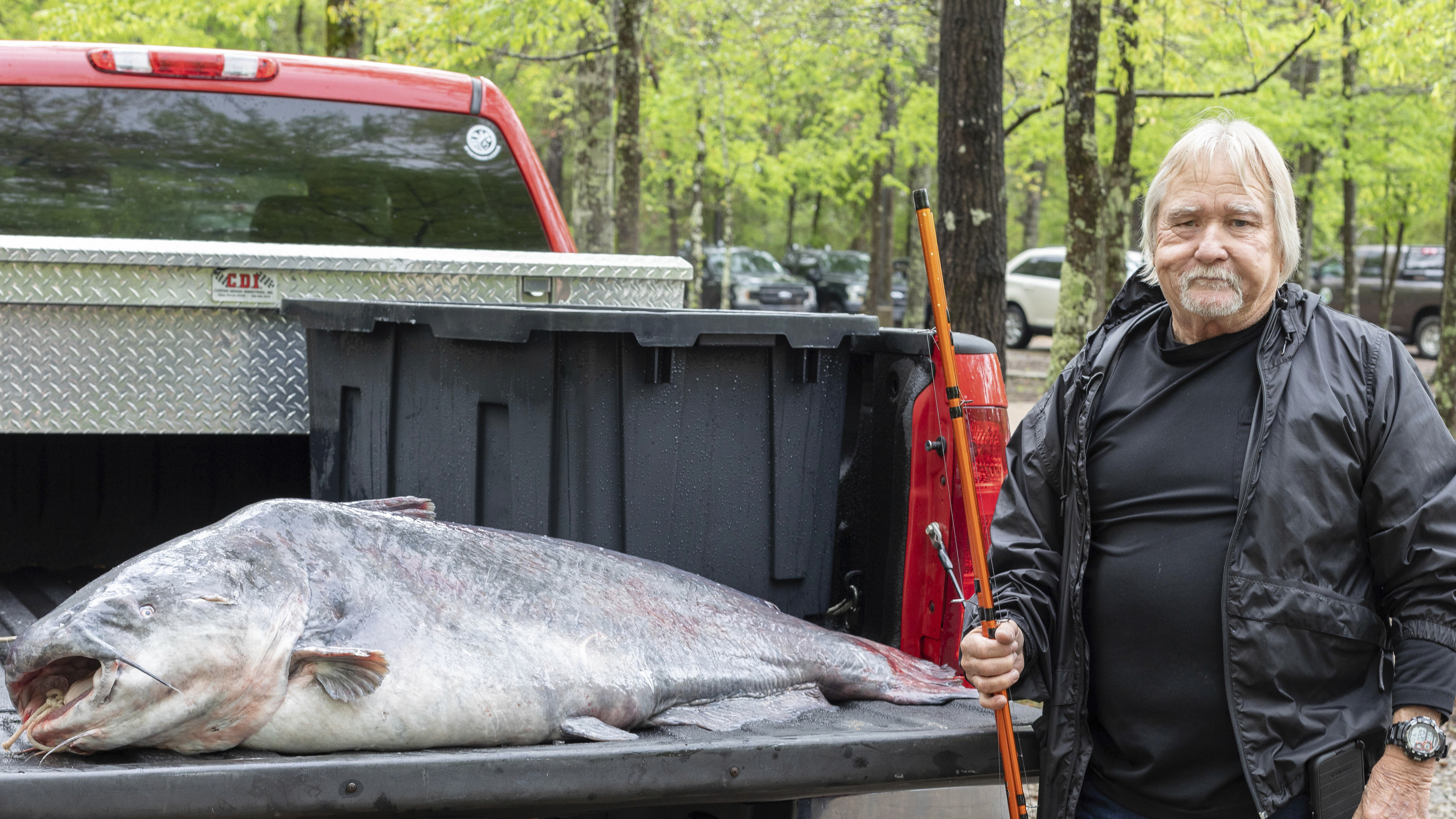 This April 11, 2022 photo provided by the Mississippi Department of Wildlife, Fisheries and Parks and taken in Jackson, Miss. shows  Eugene Cronley of Brandon and the record setting 131-pound (59.4-kilogram) blue catfish he caught, April 7 in the Mississippi River near Natchez. 