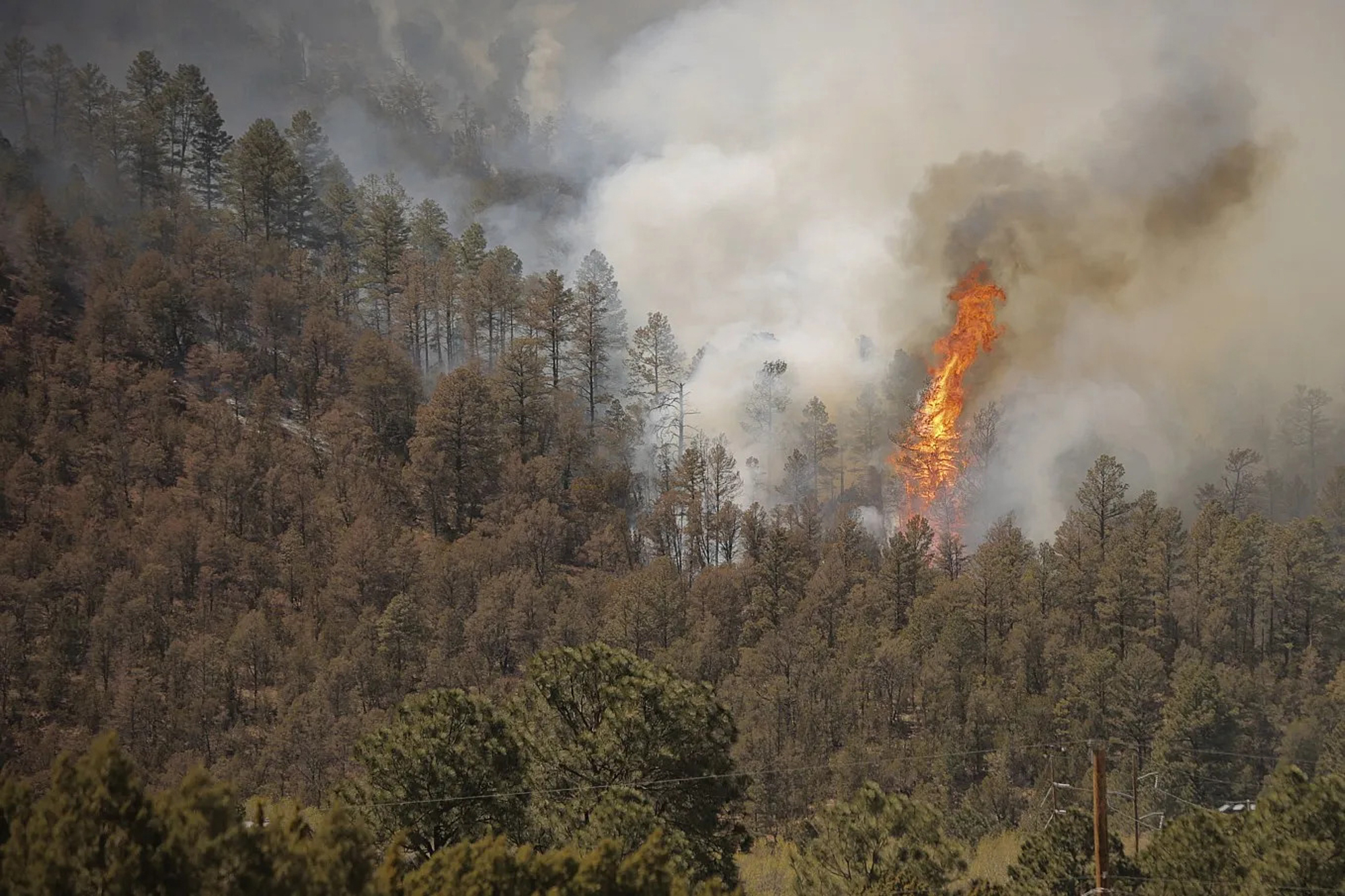 A tree ignites as the McBride Fire spills down a mountainside near Ruidoso, New Mexico, on Wednesday. Authorities say firefighters have kept a wind-driven blaze from pushing further into a mountain community in the southern part of the state.