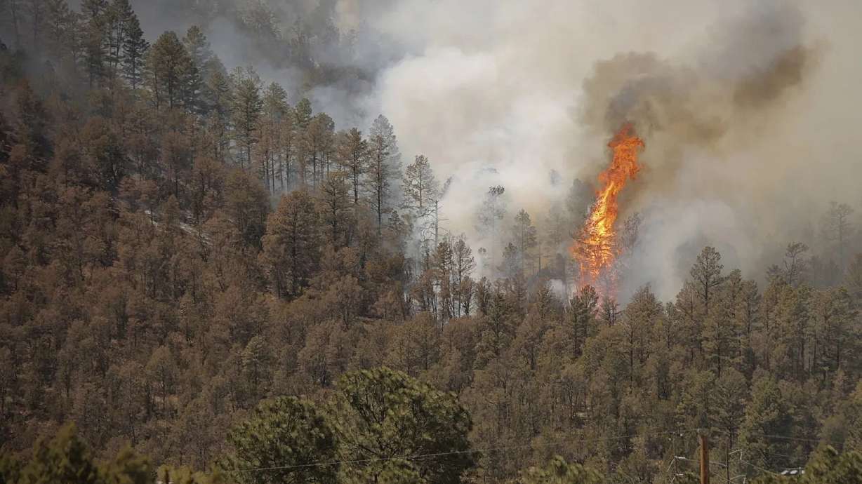 A tree ignites as the McBride Fire spills down a mountainside near Ruidoso, New Mexico, on Wednesday. Authorities say firefighters have kept a wind-driven blaze from pushing further into a mountain community in the southern part of the state.