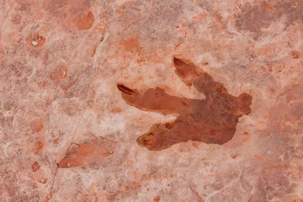 Utah Adventures with Maverik: 7 cool things to see in Utah's Dinosaur Diamond