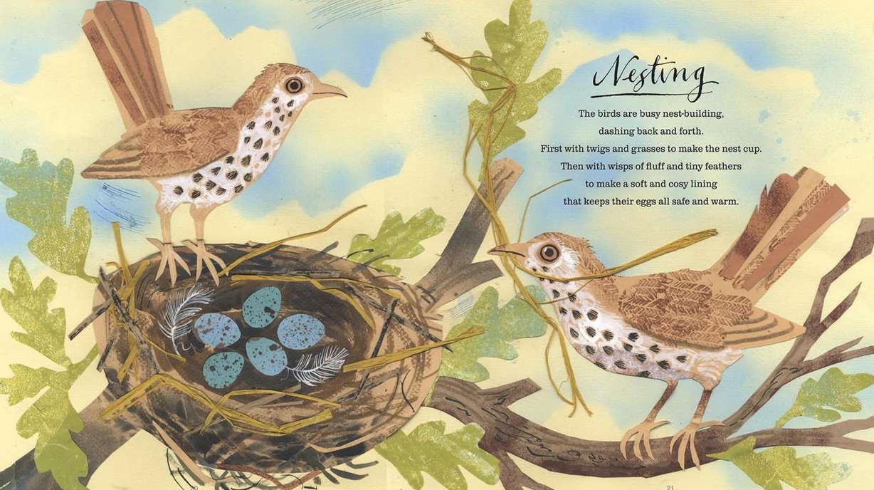 A page from "Outside Your Window: A First Book of Nature," by Nicola Davies.