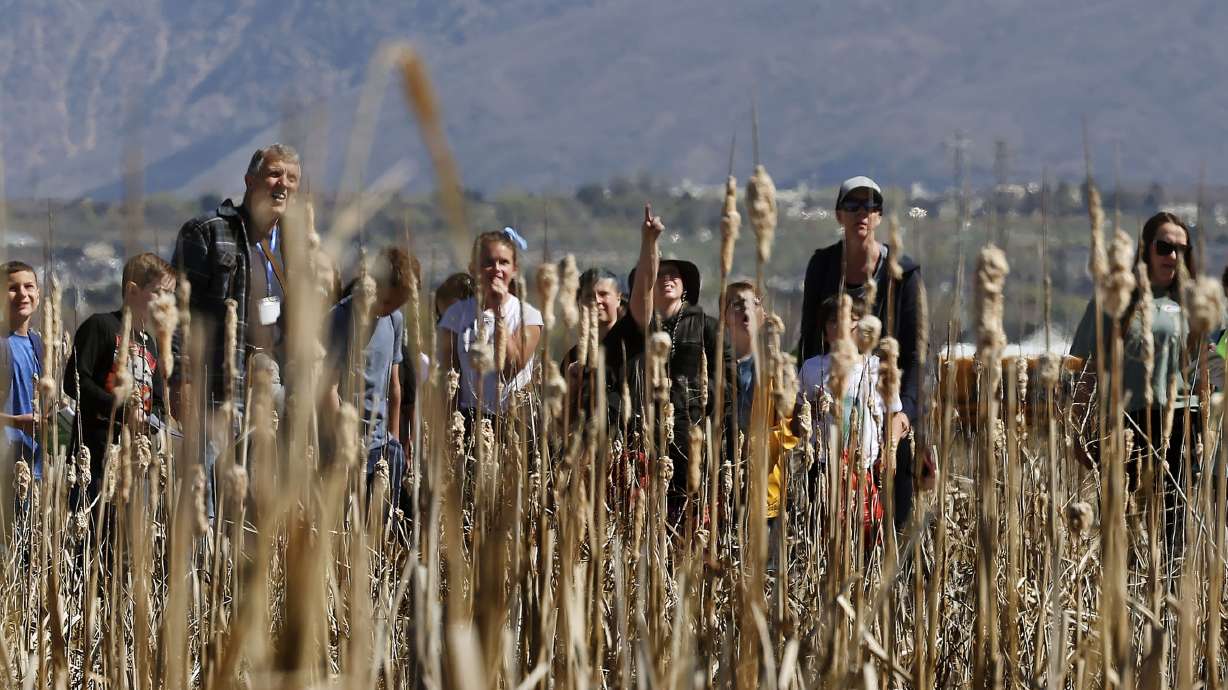 Students from Creekside Elementary explore the marshes at the Great Salt Lake Shorelands Preserve as part of The Nature Conservancy's Wings & Water program in Layton on Wednesday.