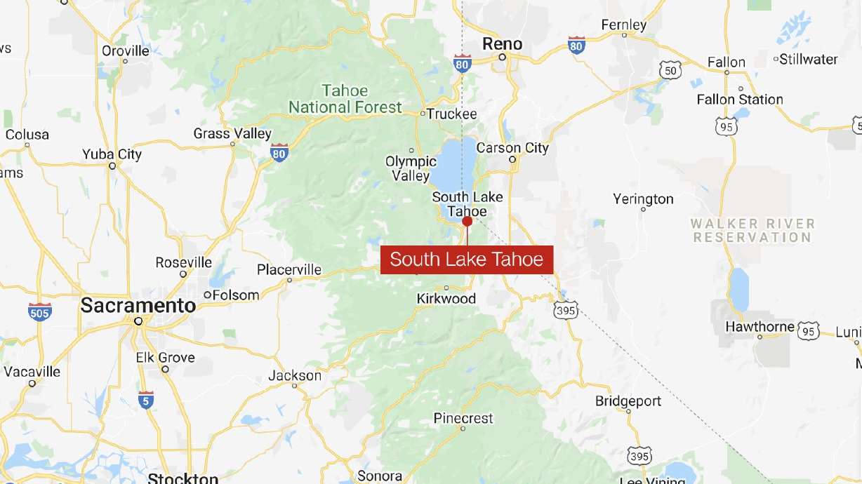 Five black bears were discovered living beneath a home in South Lake Tahoe by a resident.