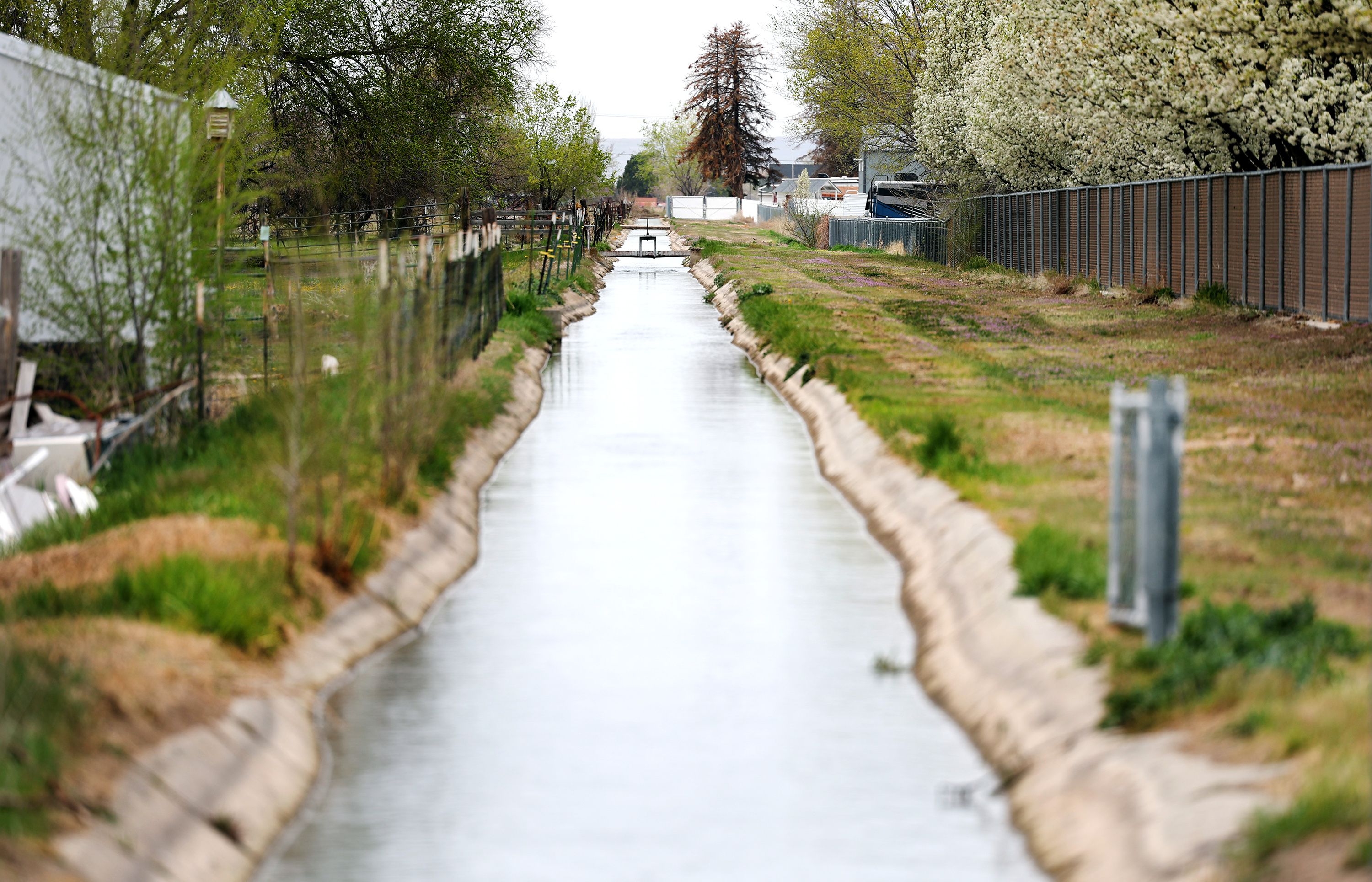 Water runs in an irrigation ditch in Hooper, Weber County, on Tuesday. Nearly all of Utah is in severe drought and water managers don’t believe half-full reservoirs will fill this year. Still, people are turning on their sprinklers to liven up lawns.