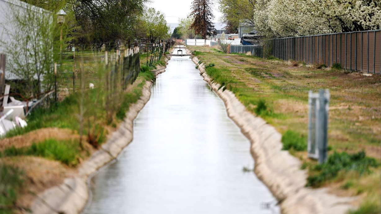 Water runs in an irrigation ditch in Hooper, Weber County, on Tuesday. Nearly all of Utah is in severe drought and water managers don’t believe half-full reservoirs will fill this year. Still, people are turning on their sprinklers to liven up lawns.