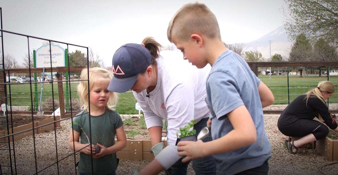 Michelle Conover and her kids transplant young crops at their garden plot near the Orem Community Hospital.