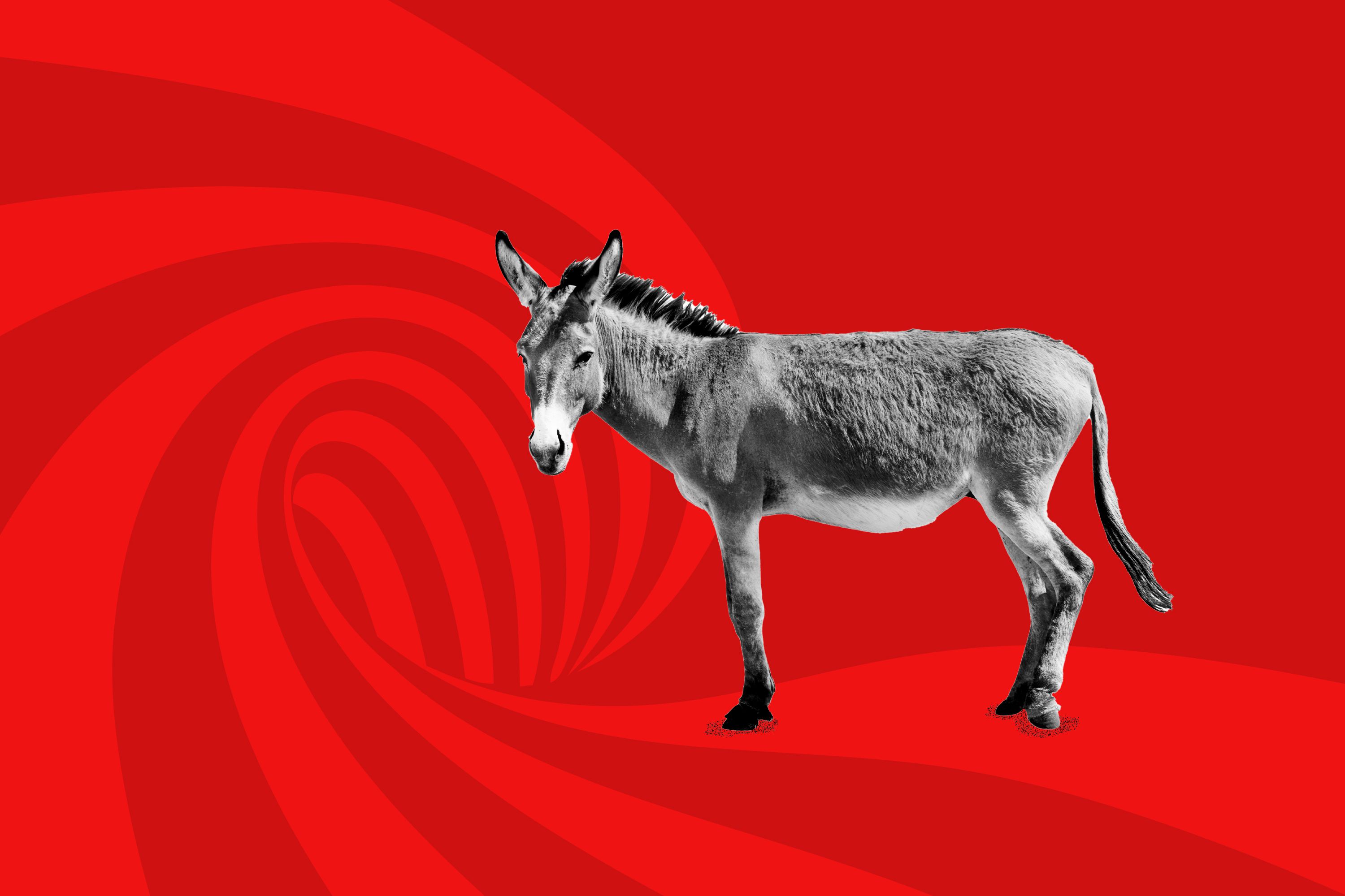 Some think the Evan McMullin vote was a ‘death knell’ for the Utah Democratic Party. Others say it was a ‘shrewd’ move