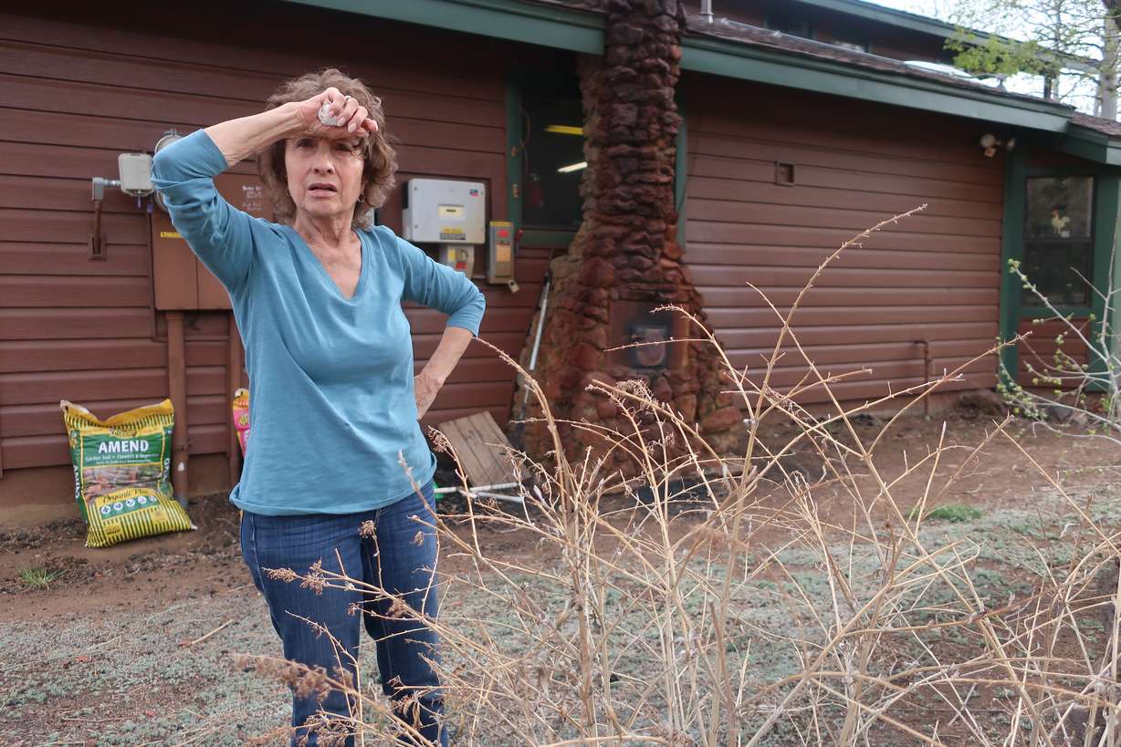 Polly Velie stands outside her home north of Flagstaff, Ariz., Tuesday, looking out toward the property line where a massive wildfire swept through. The blaze that started on Easter Sunday burned about 30 square miles and more than a dozen homes, hopscotching across the parched landscape.