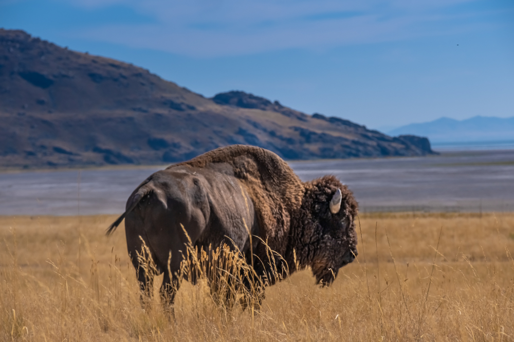 Utah Adventures with Maverik: 4 of Utah's most spectacular sites (that aren't national parks)